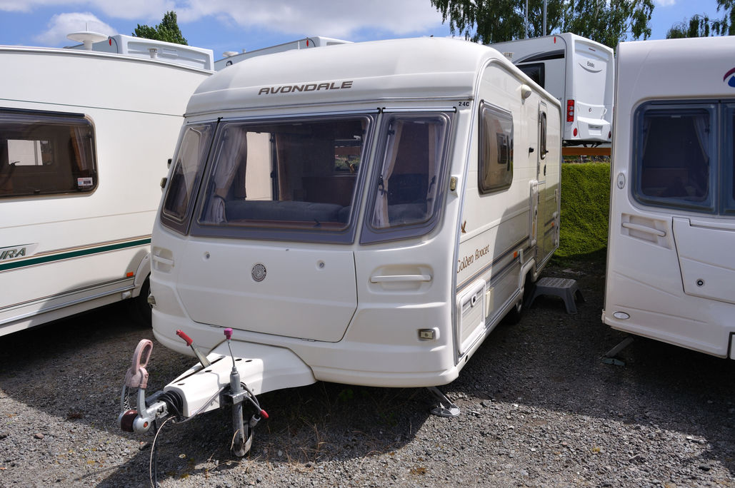 Avondale Golden Avocet - Front